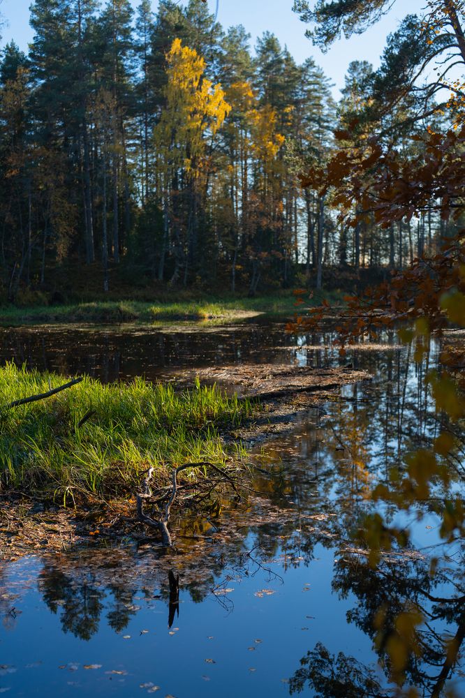 Photograph by екатерина Толстоусова