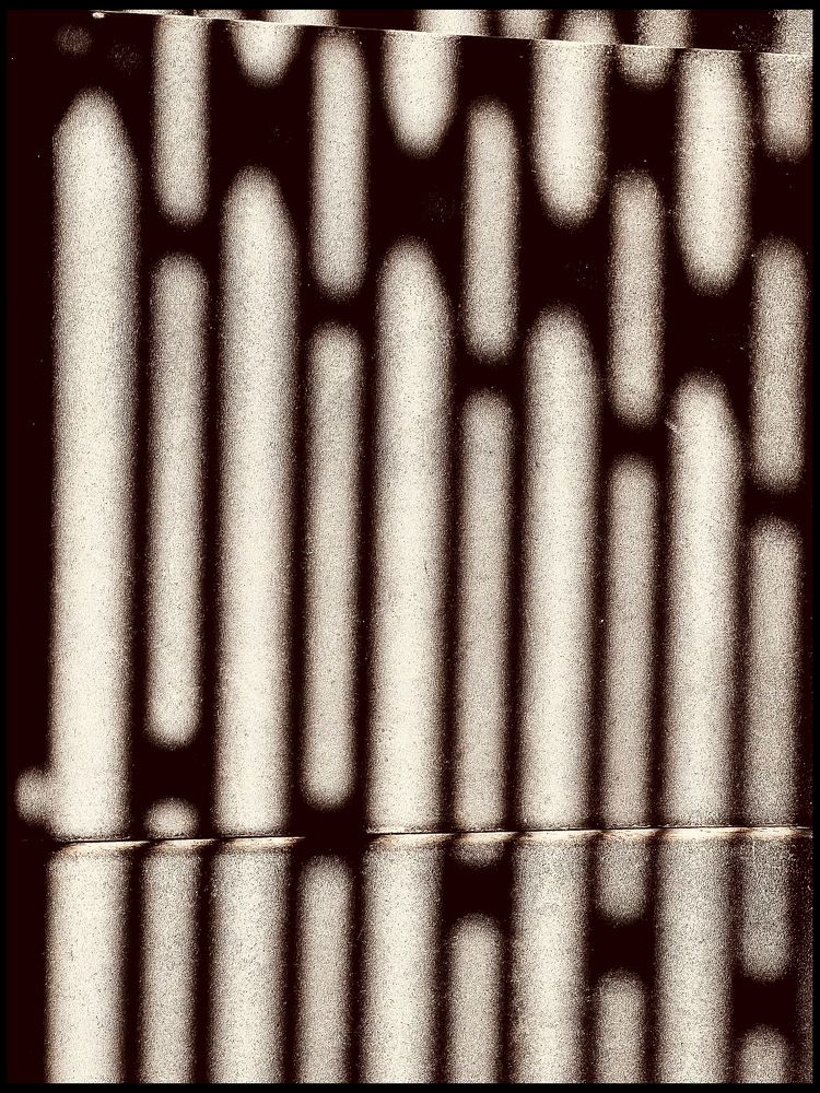 Photograph by Shannon