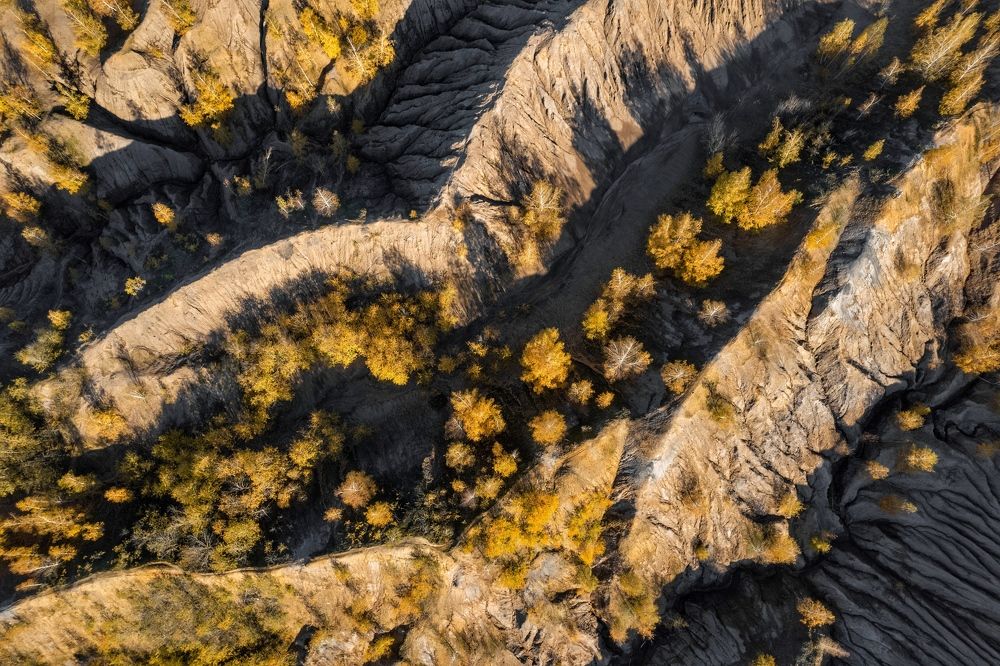 Photograph by Дмитрий Костяков