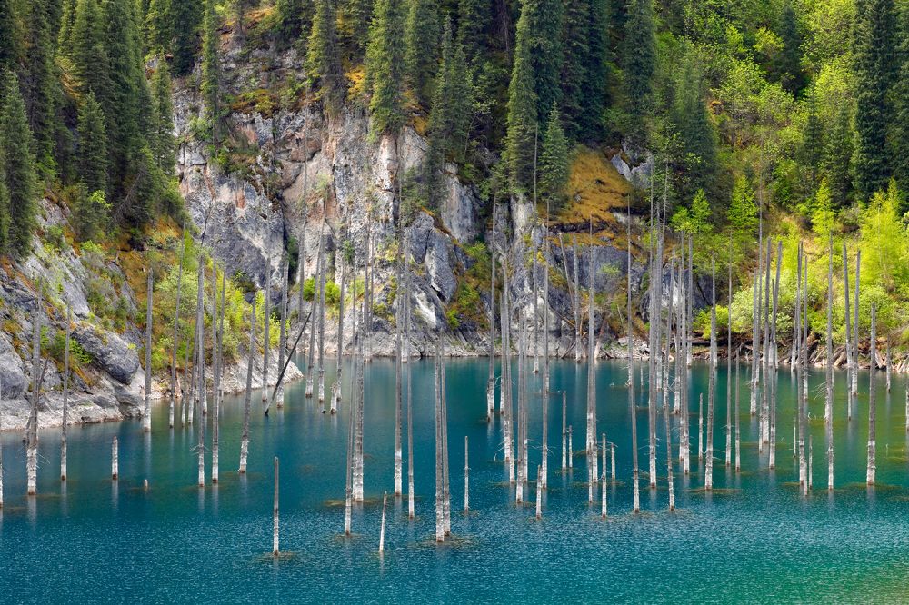 Photograph by Артем