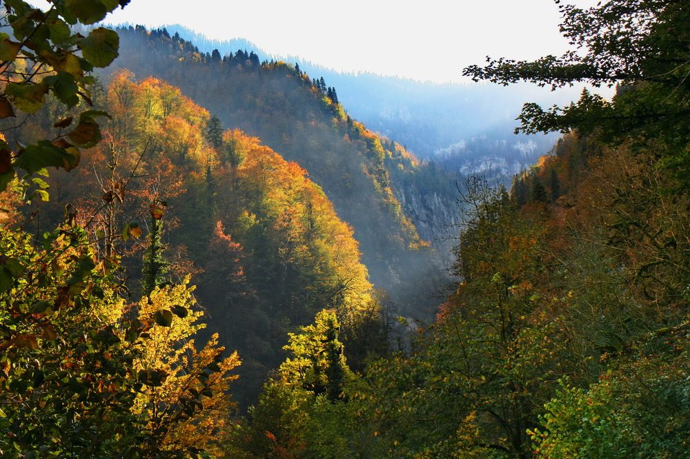 Photograph by вячеслав милов