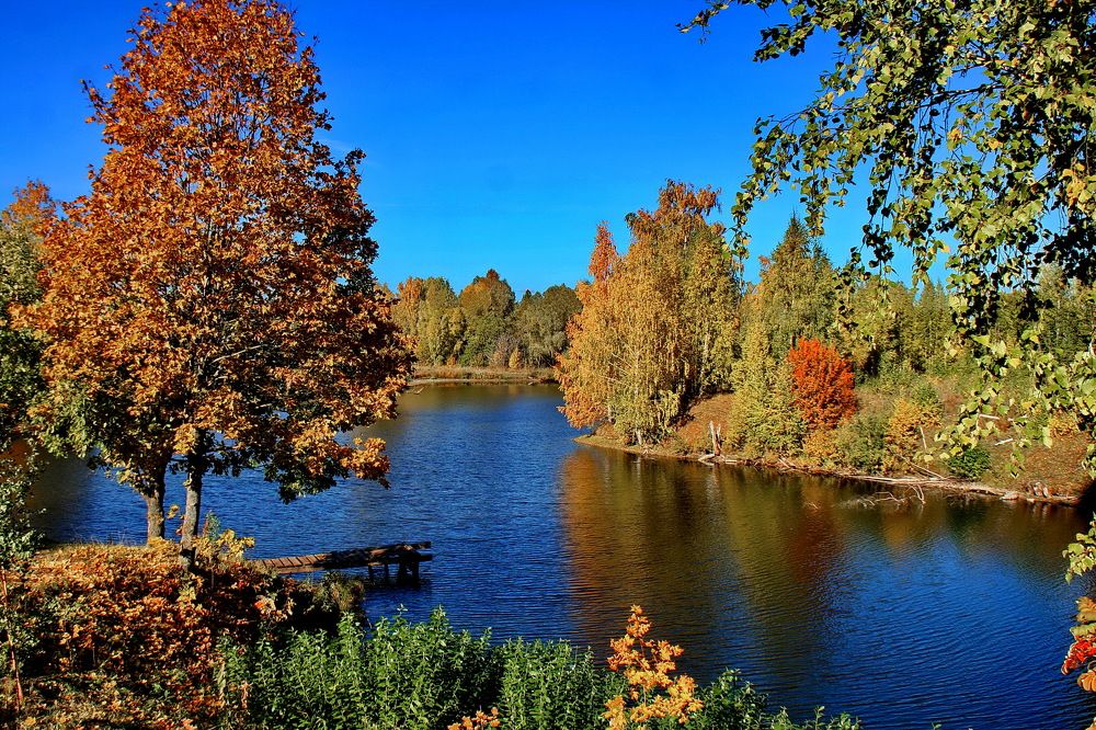 Photograph by вячеслав милов