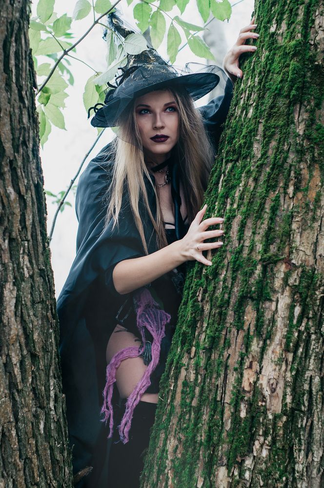 Фотография автора Александр Сенчуров