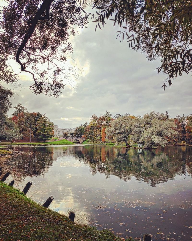 Photograph by Владимир Поздняков