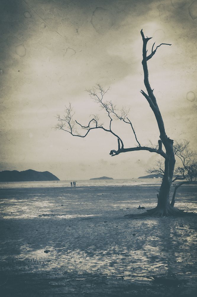 Photograph by Andrei Iemelianov