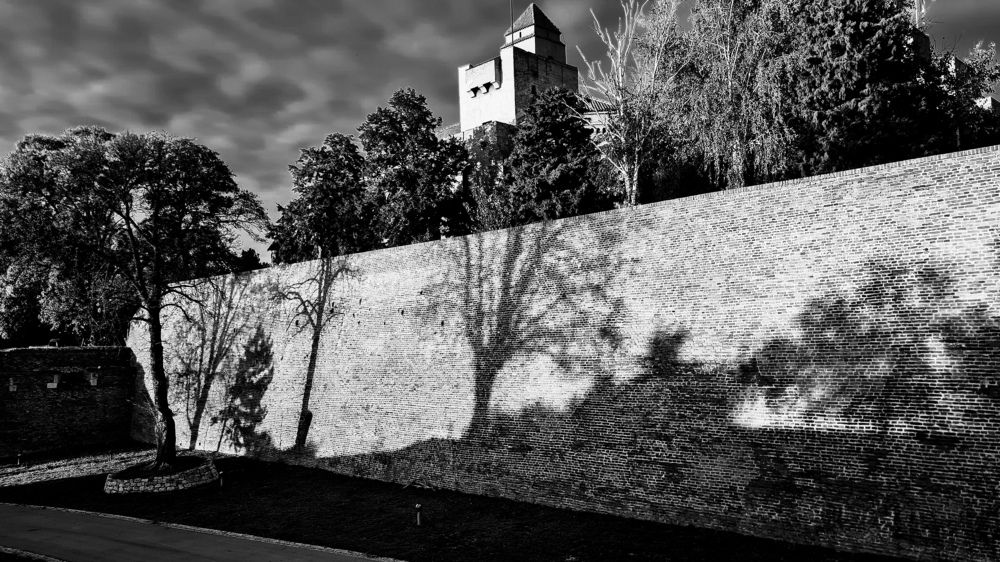 Photograph by Andrey Kondrov