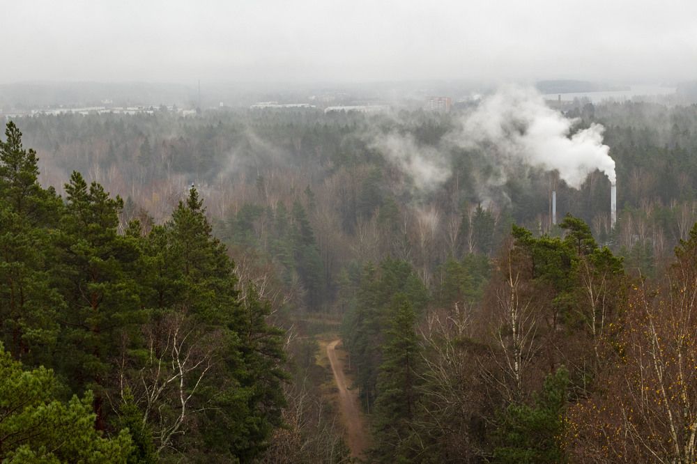 Фотография автора Edīte Ogorodnikova