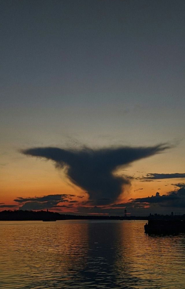 Фотография автора Наталья Синицына