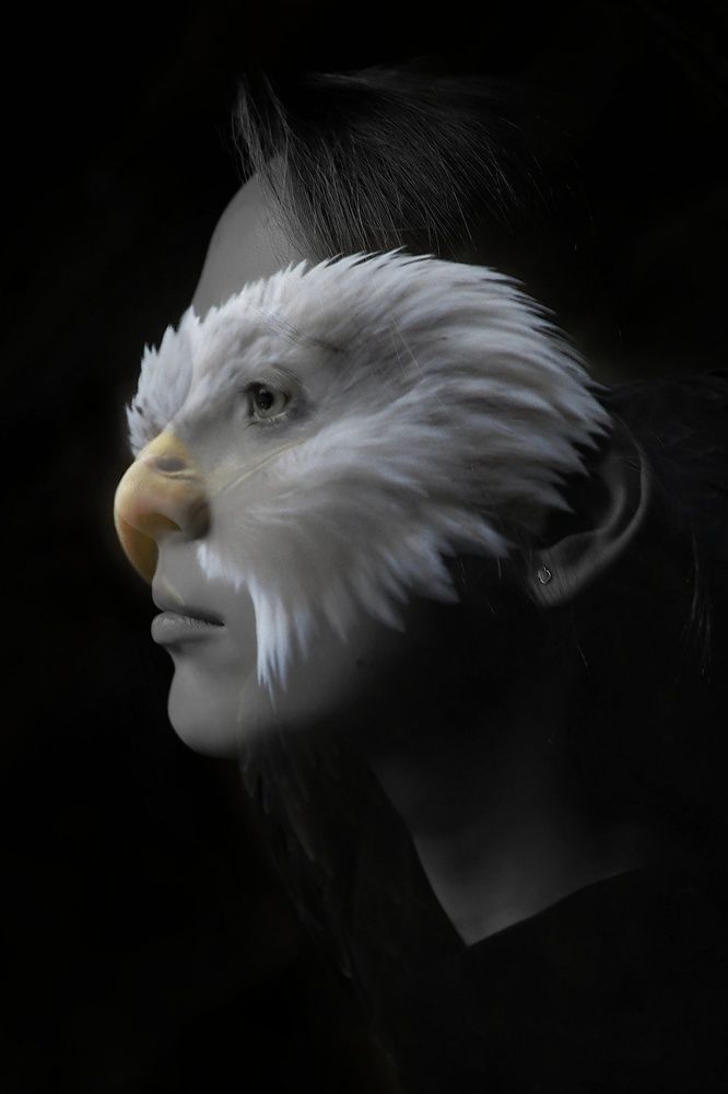 Фотография автора Елена Кириллова