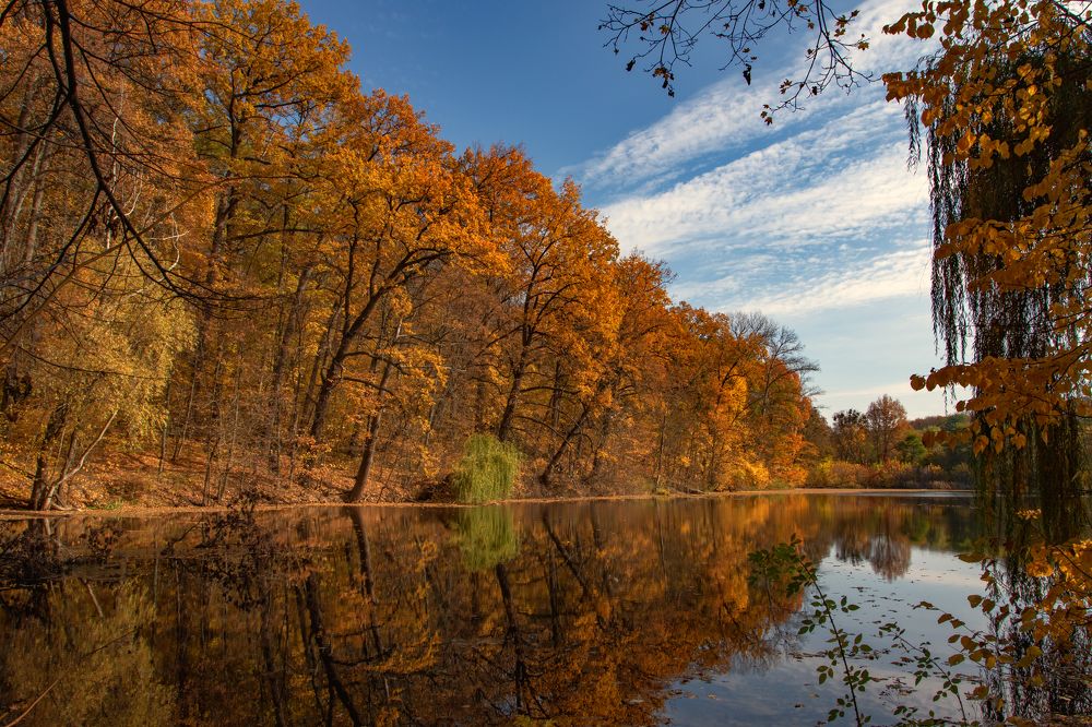 Photograph by Андрей Серый