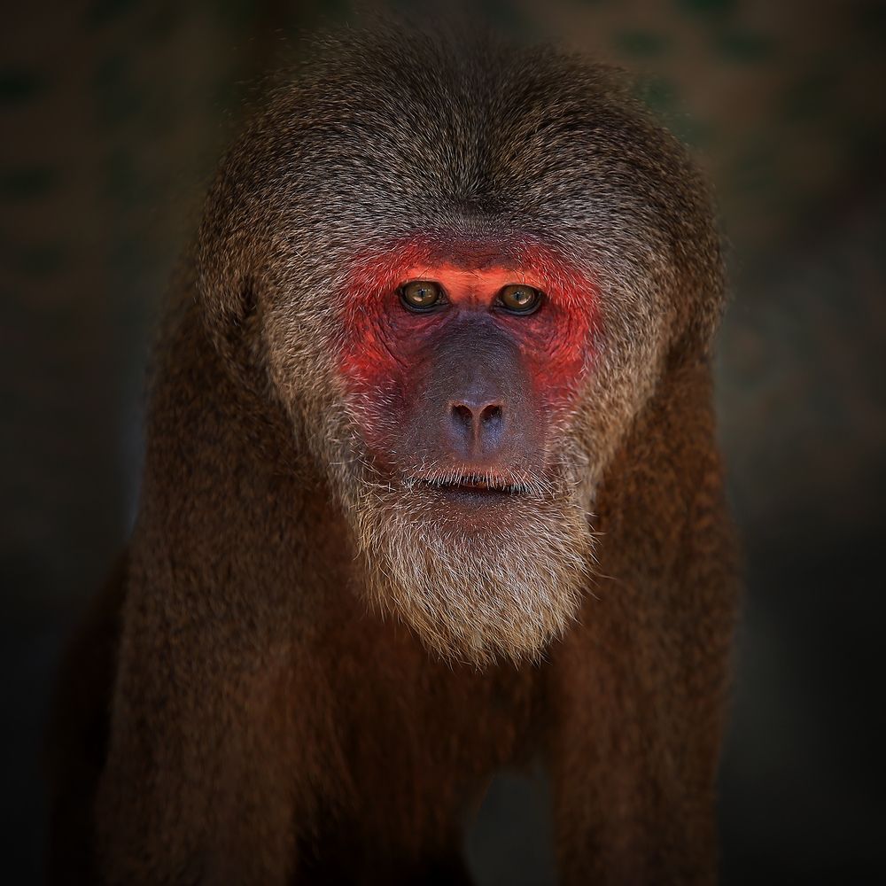 Никогда не прикуривай от газовой конфорки