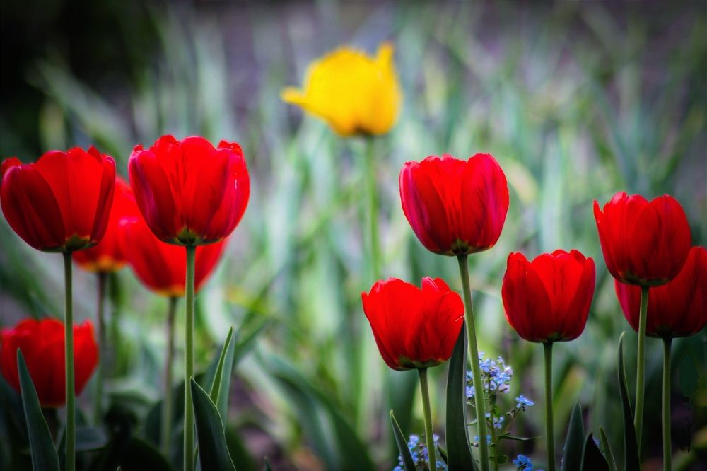 Photograph by Андрей Потапов