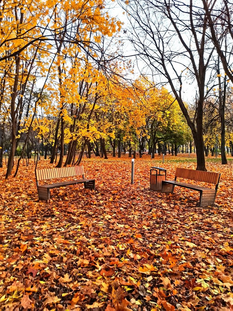 Photograph by людмила