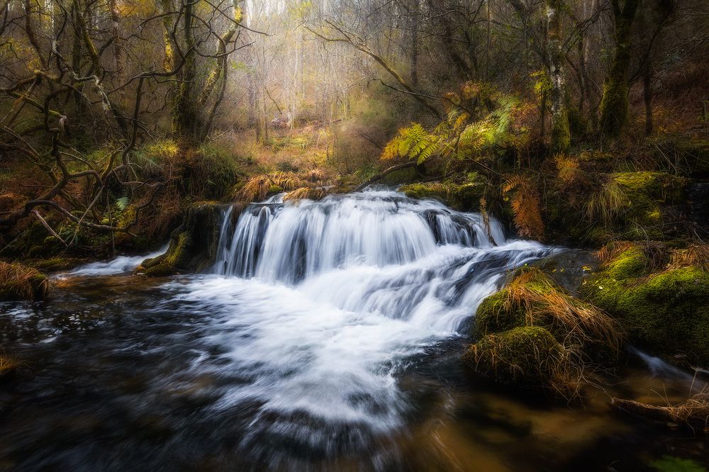 Photograph by SORAYA SAMPEDRO