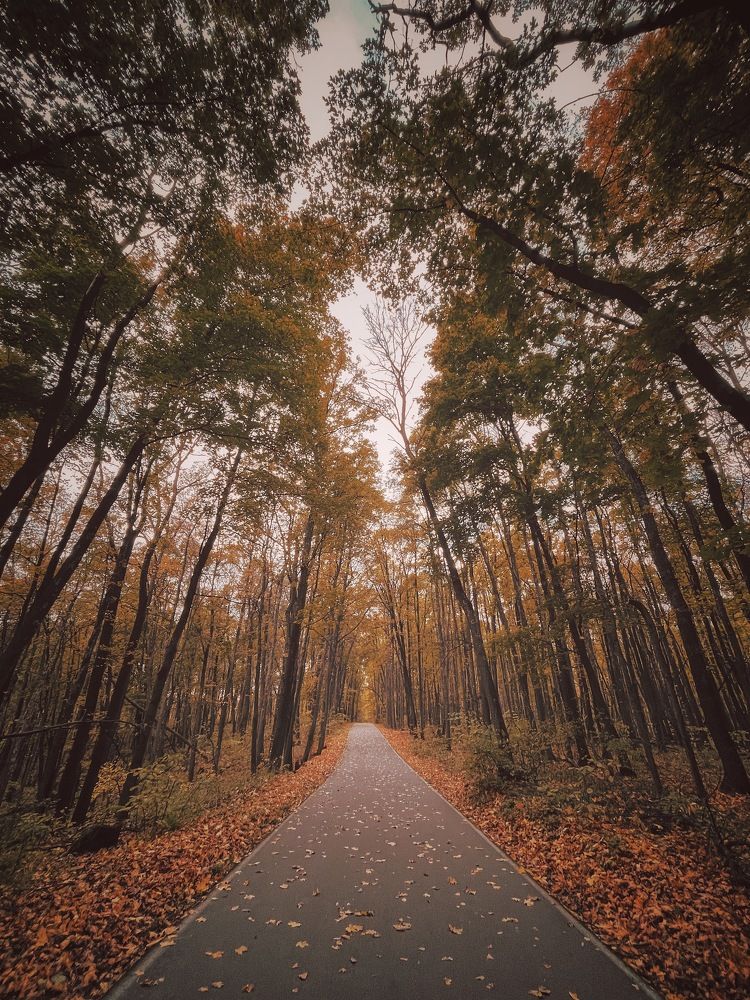 Photograph by Виктория Селютина