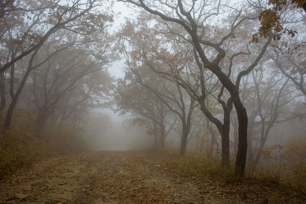 Photograph by Леонид Синев