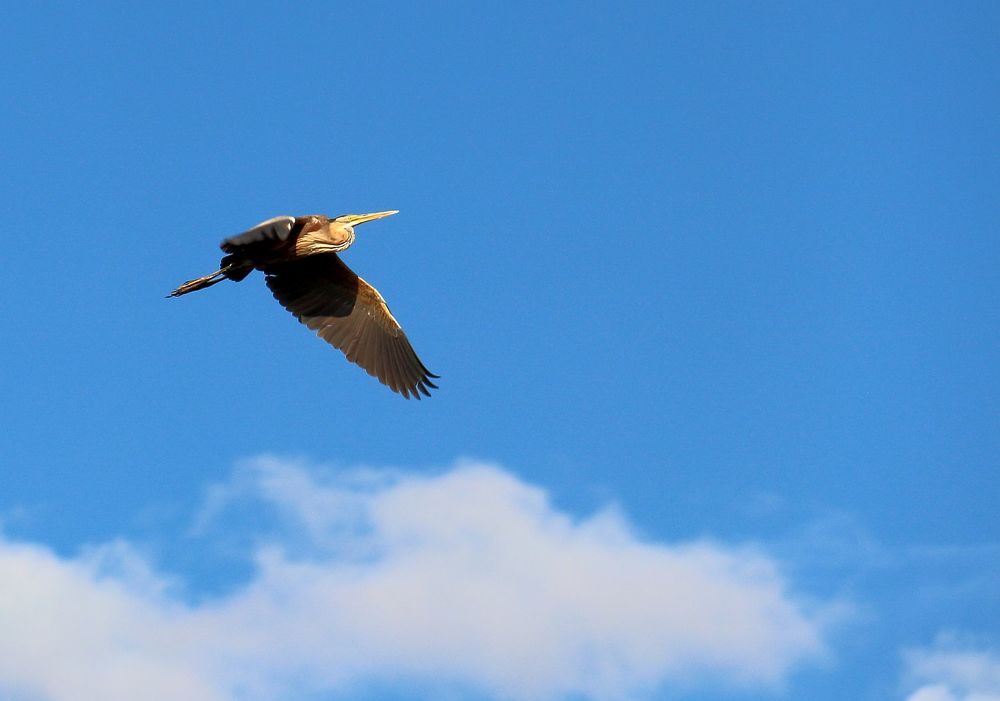 Photograph by Юрий Варюхин