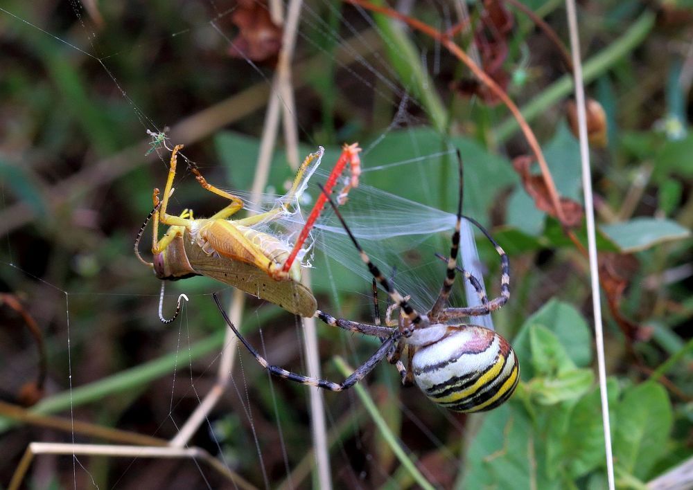 Photograph by Юрий Варюхин