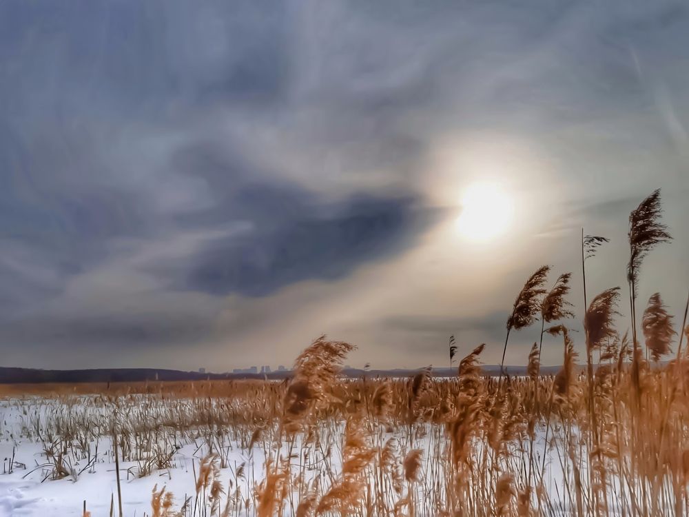 Photograph by Вера Романова