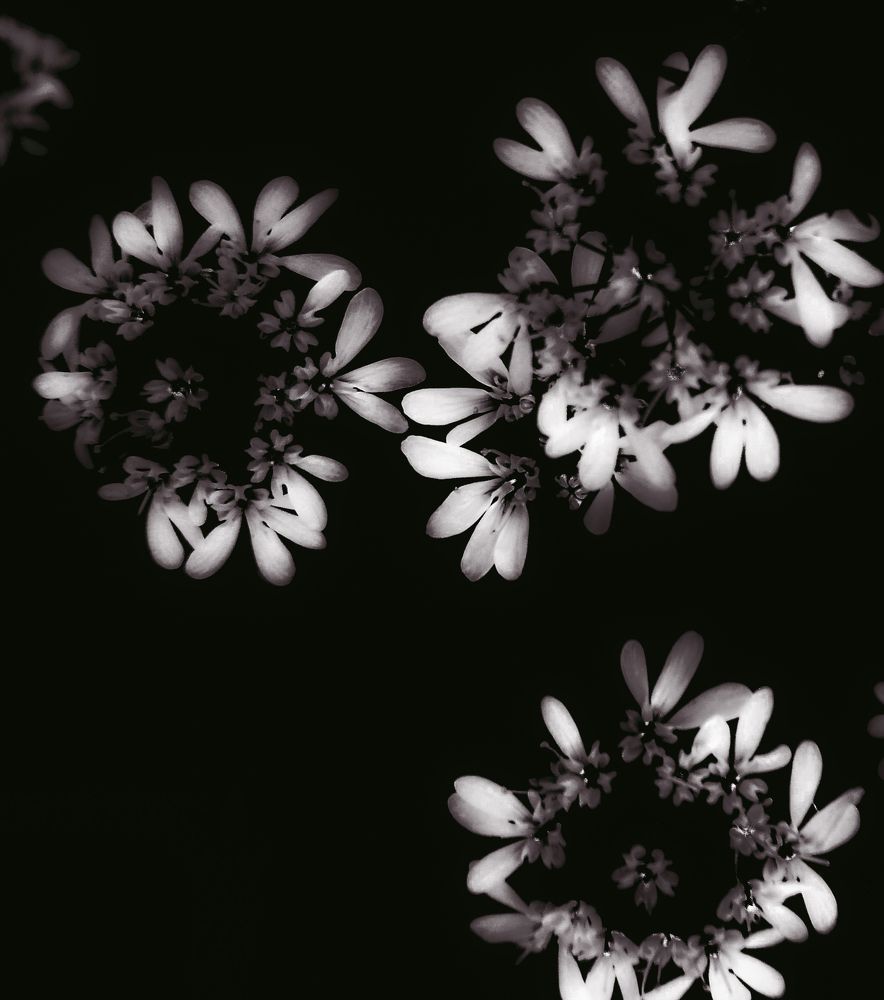 Photograph by Баженова Наталья