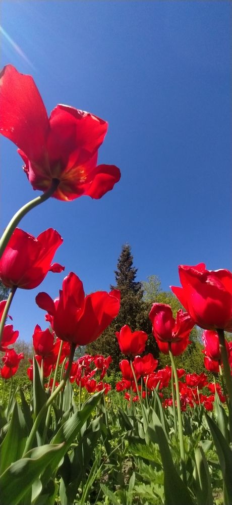 Photograph by Александра Храмцова