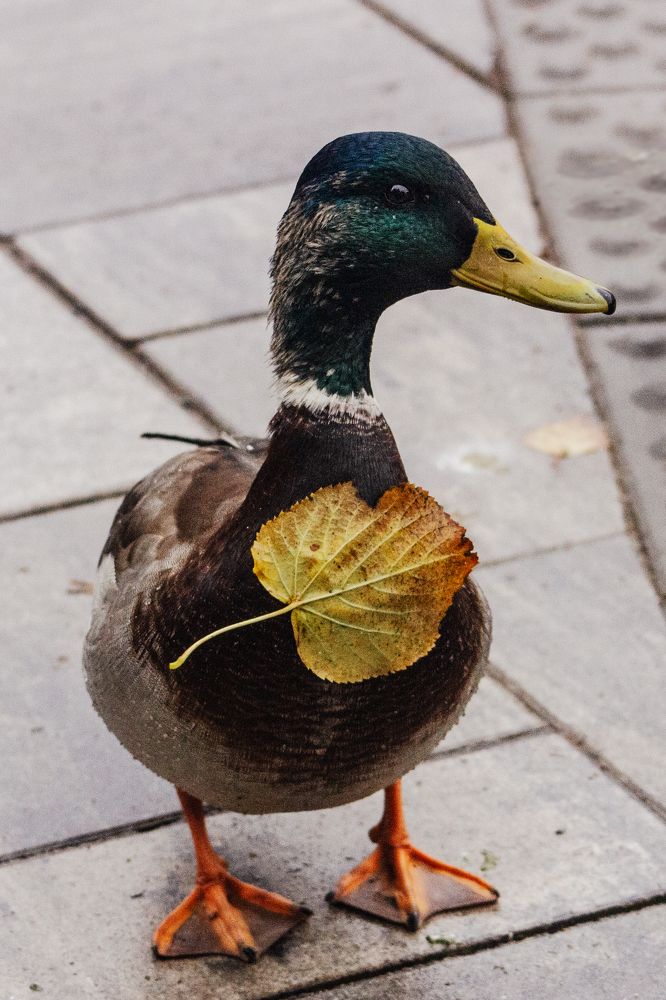 Photograph by Полина Каменкова