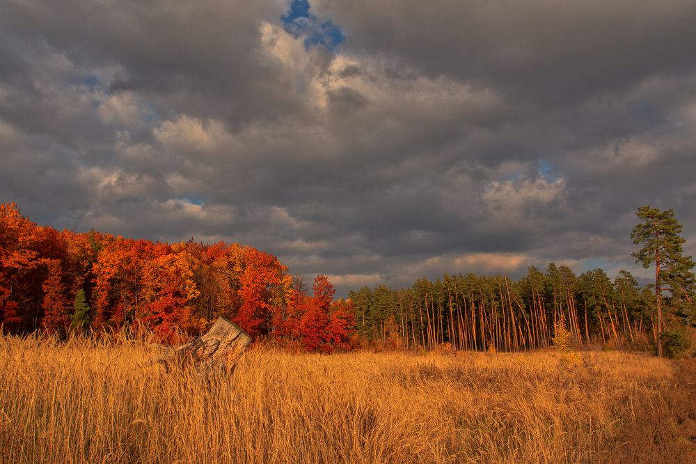 Photograph by Андрей Серый