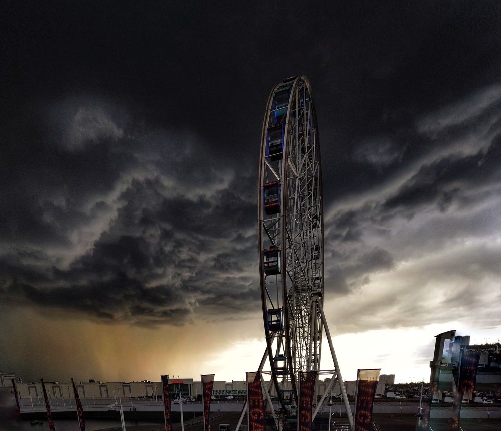 Photo #8331661