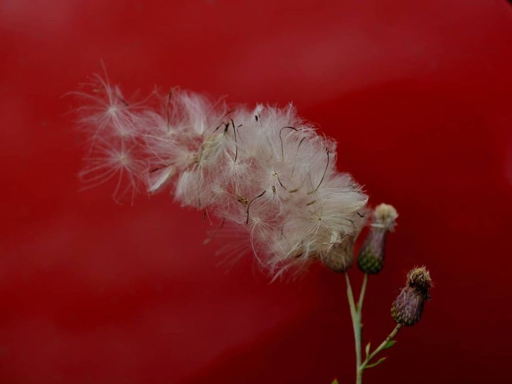 Photograph by Alexander Usenko