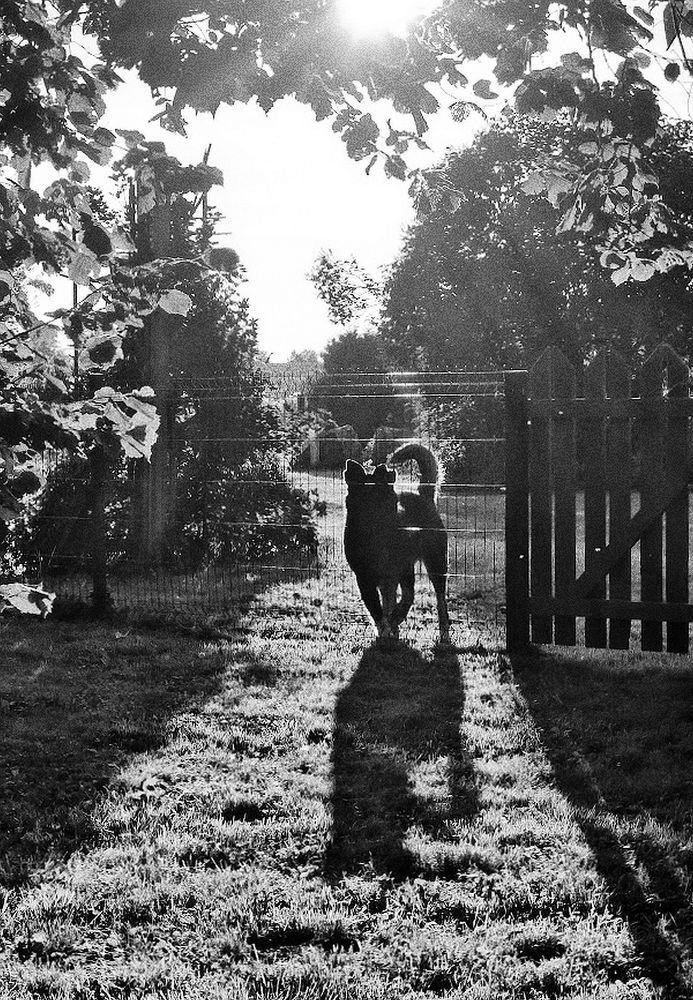 Photograph by Epp Tappel