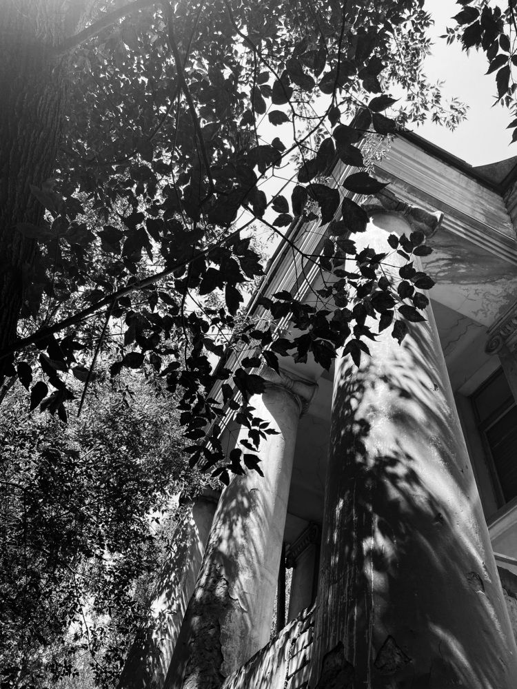 Photograph by Катерина