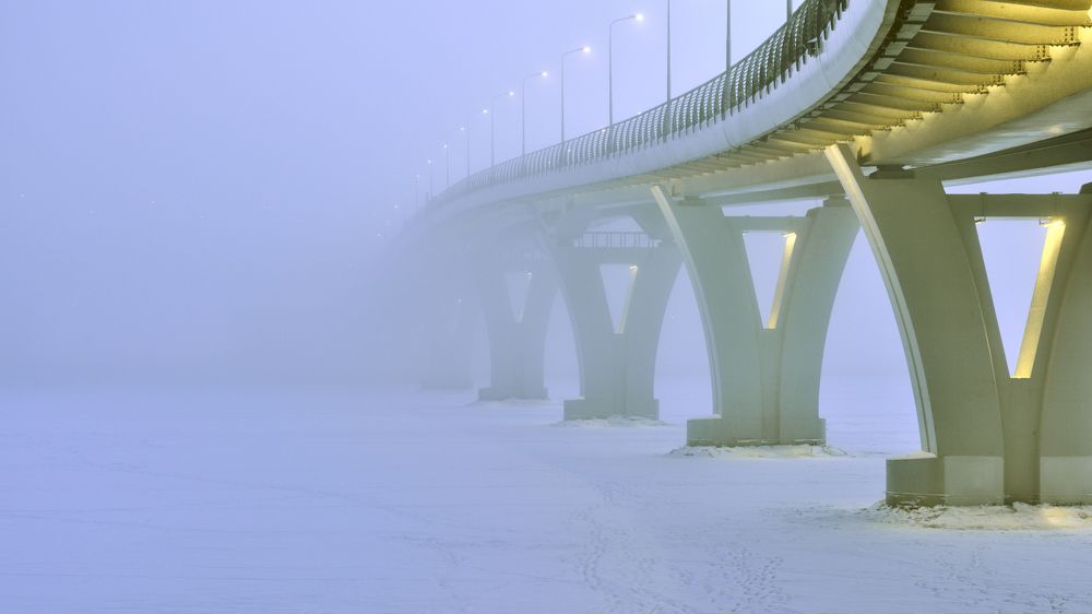 Туман над зимней Невой