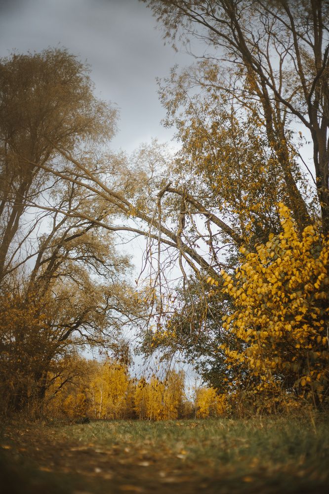 Photograph by Jekaterina