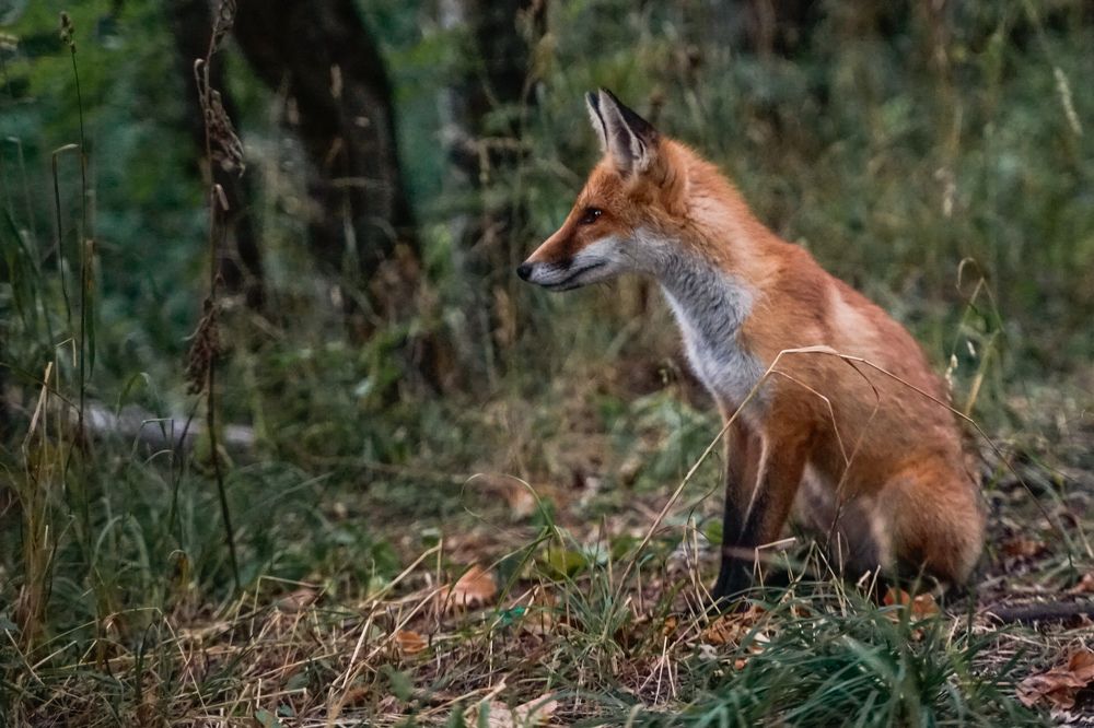 Photograph by Ксения Илюшина