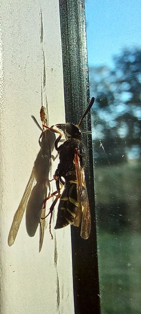 Photograph by Евгений Савулькин