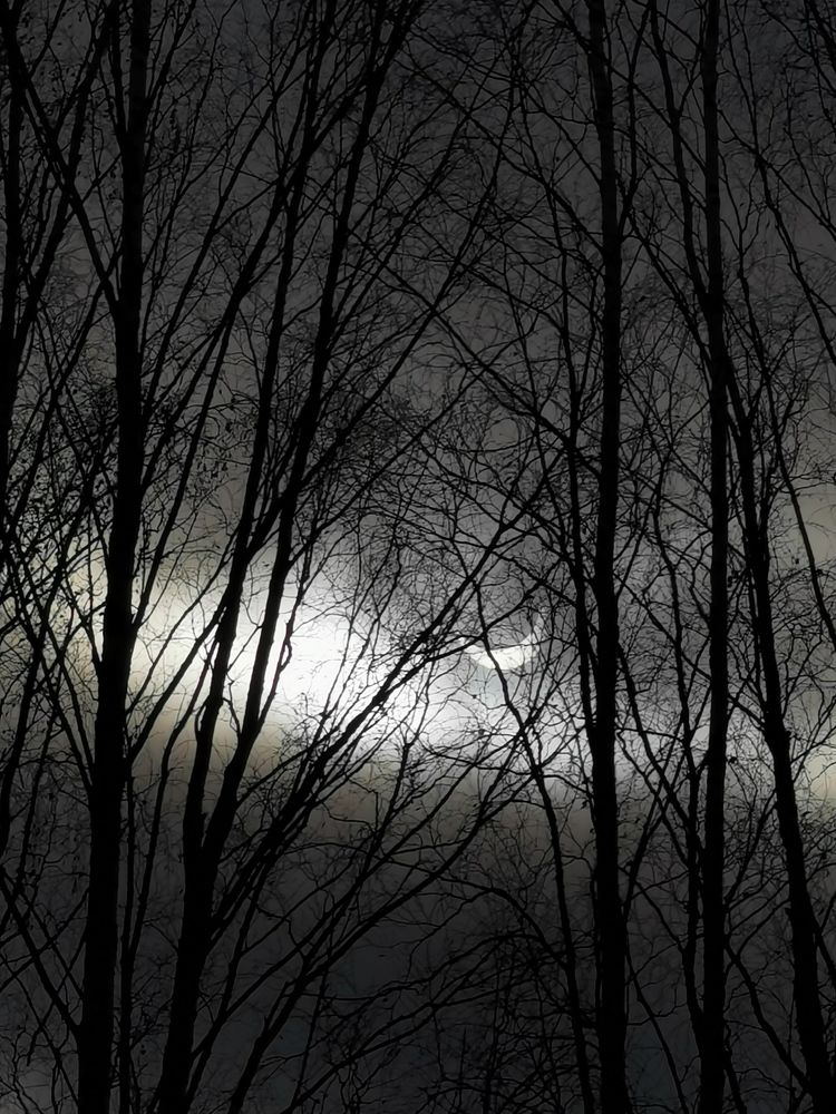 Photograph by Марина Копылова