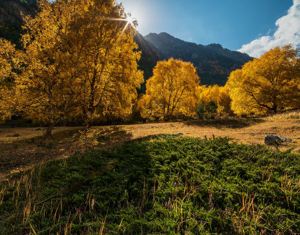 Photograph by Валерий Одинцов