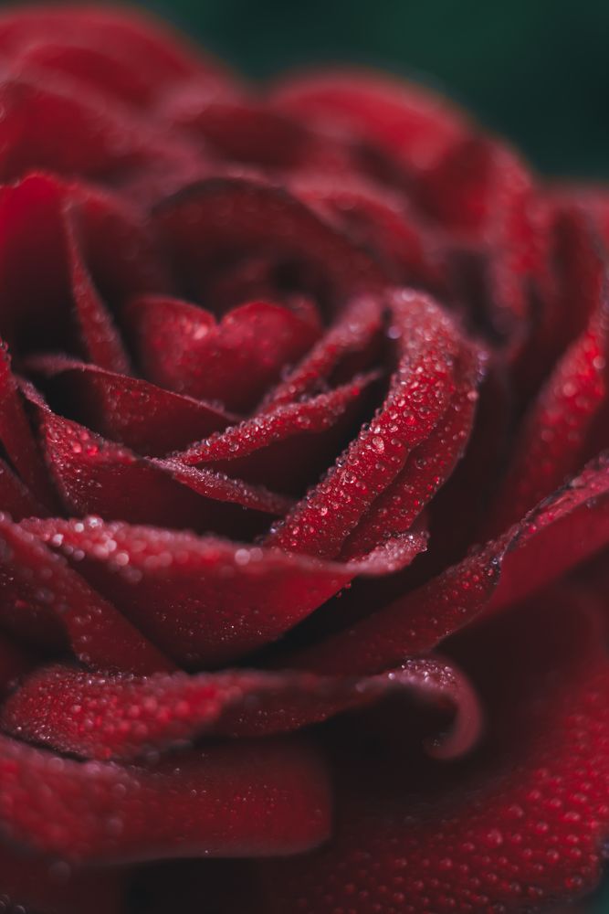 Photograph by Анна Бобкова