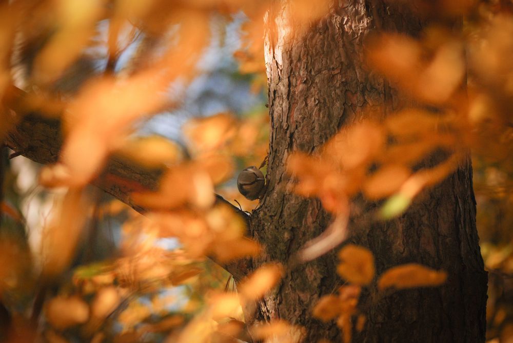 Photograph by Екатерина Савостикова