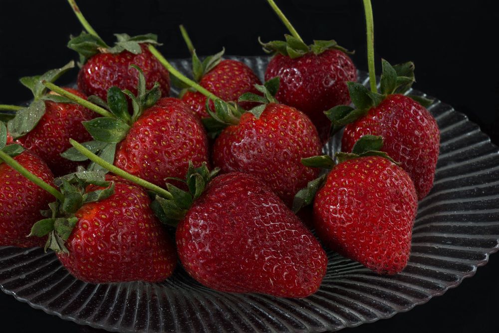 Photograph by Римма Волченко