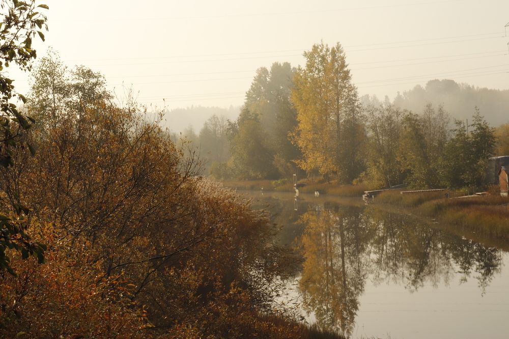 Photograph by Баранова Виктория