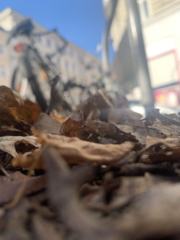 Photograph by Леонид Гроссман