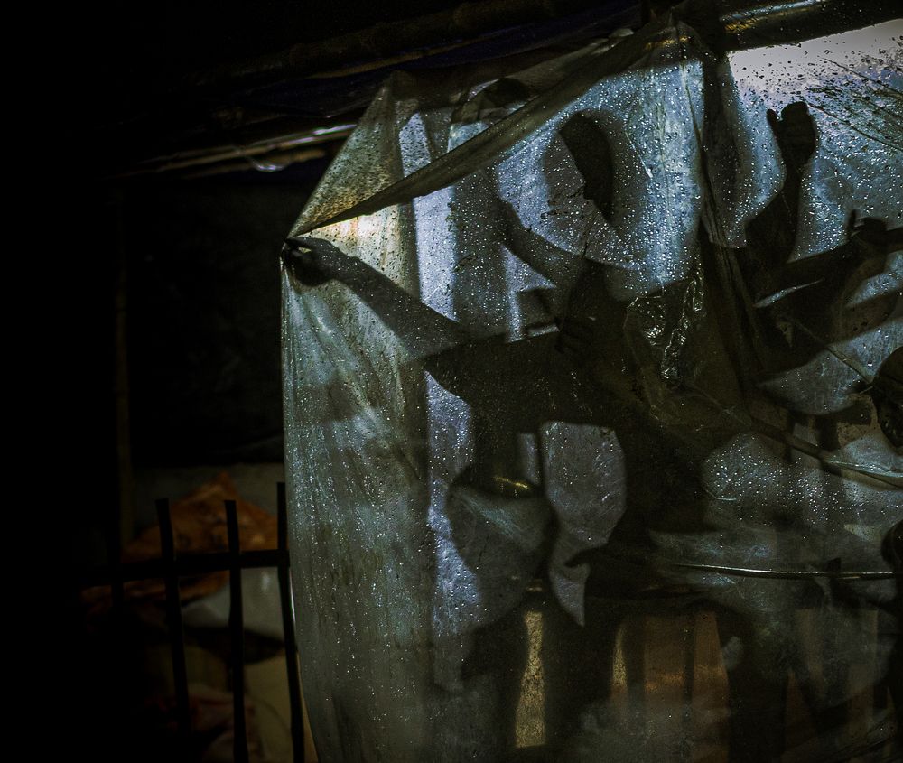 Photograph by Shibanjan Saha