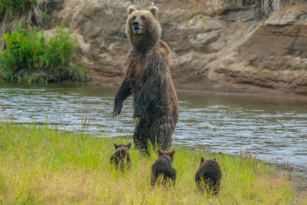 Photograph by Илья Труханов