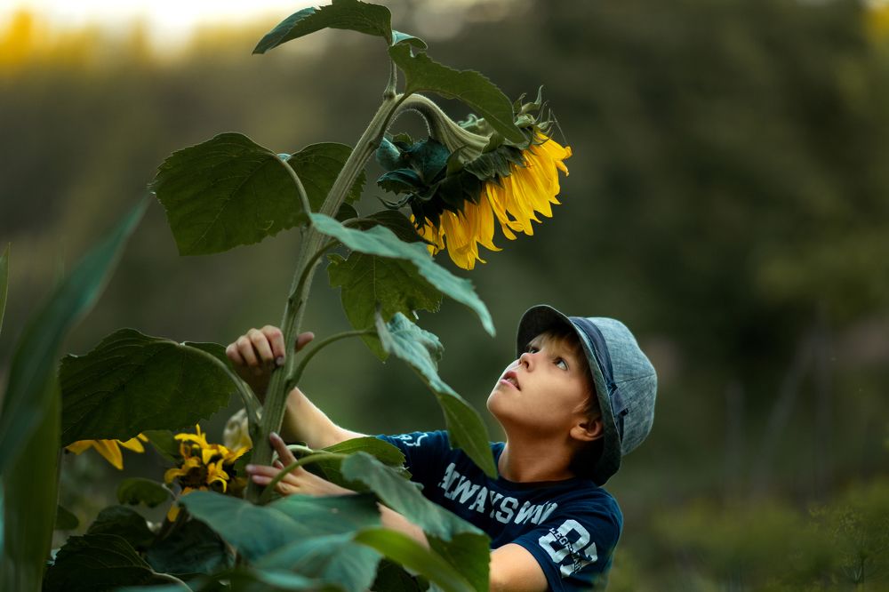 Photograph by Боровикова Ксения