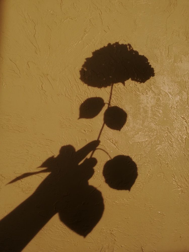 Photograph by Наталья S.