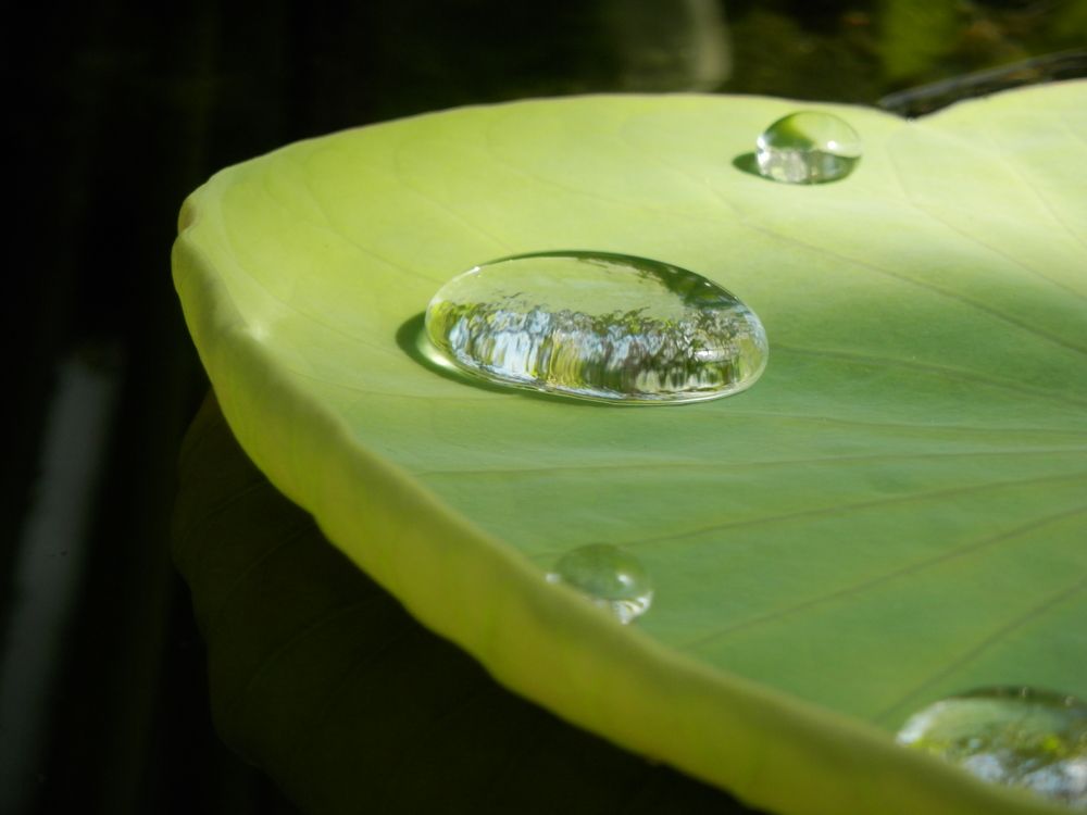 Photograph by Георгий Салюков