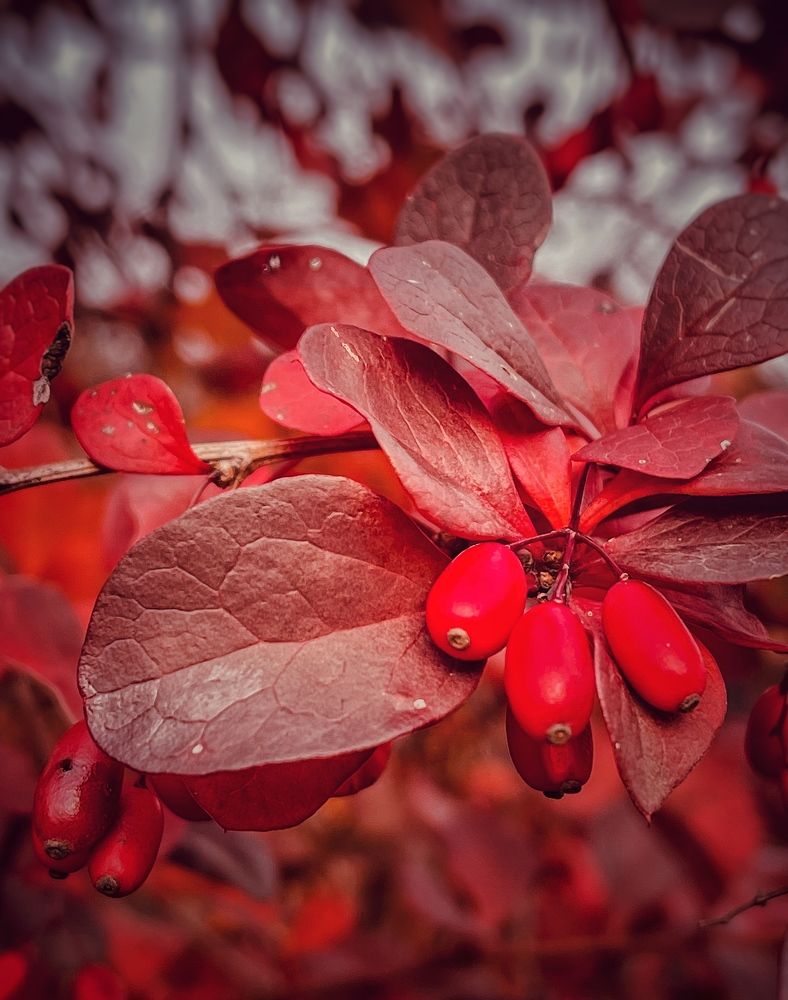 Photograph by Виктория Селютина