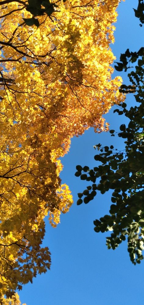 Photograph by Любовь Макарова