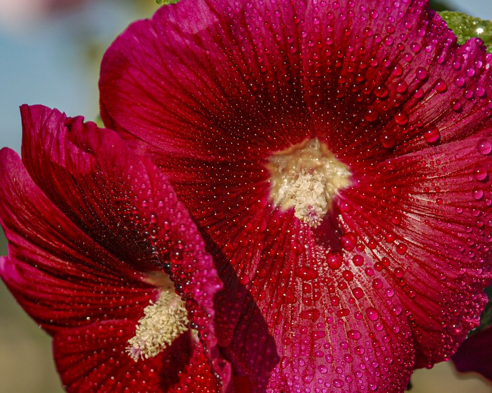 Photograph by mehmet enver karanfil